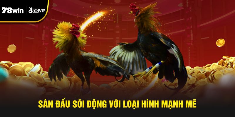 Sàn đấu sôi động với loại hình mạnh mẽ